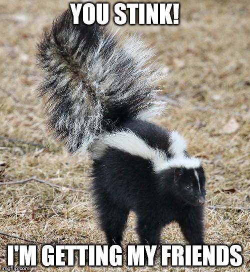 YOU STINK! I'M GETTING MY FRIENDS | made w/ Imgflip meme maker