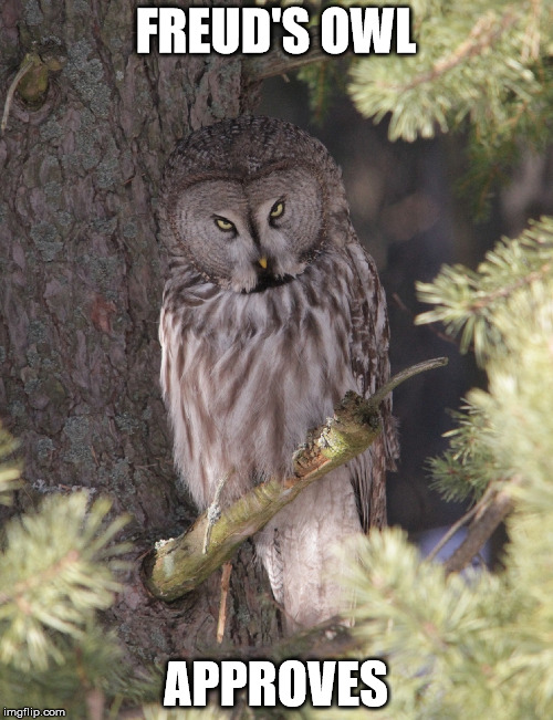 FREUD'S OWL APPROVES | made w/ Imgflip meme maker