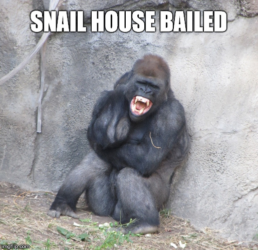 SNAIL HOUSE BAILED | made w/ Imgflip meme maker