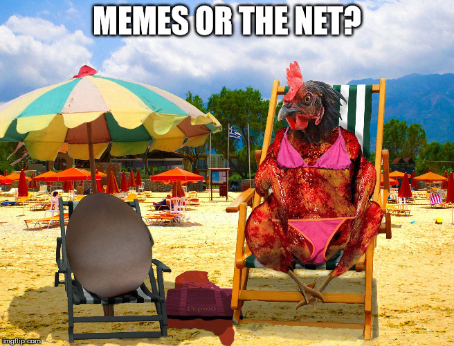 MEMES OR THE NET? | made w/ Imgflip meme maker