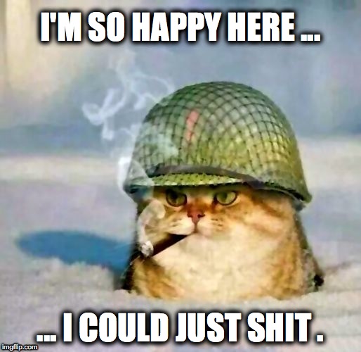 So Happy Here :-) | I'M SO HAPPY HERE ... ... I COULD JUST SHIT . | image tagged in soldier kitteh | made w/ Imgflip meme maker