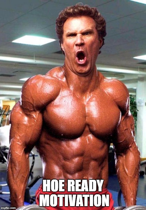 Will Ferrell on Steroids | HOE READY MOTIVATION | image tagged in will ferrell on steroids | made w/ Imgflip meme maker