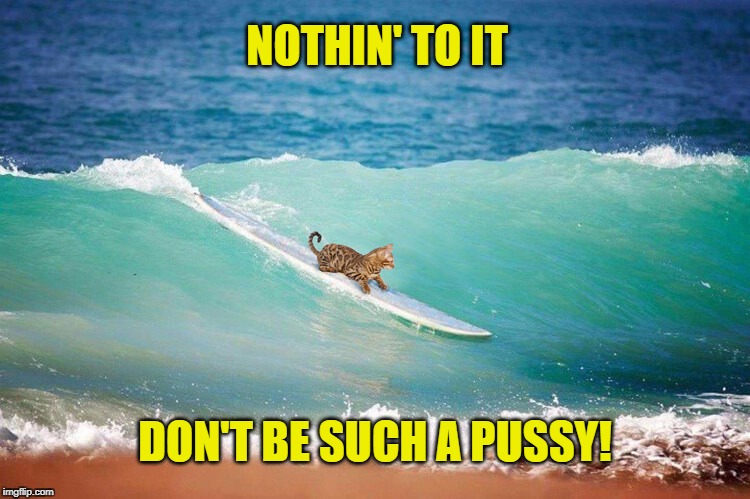 NOTHIN' TO IT DON'T BE SUCH A PUSSY! | made w/ Imgflip meme maker