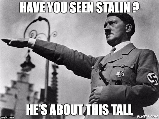 hitler | HAVE YOU SEEN STALIN ? HE'S ABOUT THIS TALL | image tagged in hitler | made w/ Imgflip meme maker