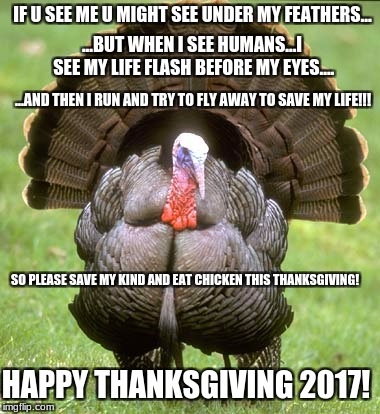 Happy Thanksgiving 2017! | IF U SEE ME U MIGHT SEE UNDER MY FEATHERS... ...BUT WHEN I SEE HUMANS...I SEE MY LIFE FLASH BEFORE MY EYES.... ...AND THEN I RUN AND TRY TO FLY AWAY TO SAVE MY LIFE!!! SO PLEASE SAVE MY KIND AND EAT CHICKEN THIS THANKSGIVING! HAPPY THANKSGIVING 2017! | image tagged in memes,turkey | made w/ Imgflip meme maker