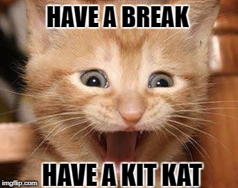 KitKat's New Promotional Campaign Manager!  | HAVE A BREAK; HAVE A KIT KAT | image tagged in memes,excited cat,kitkat,joke,cute | made w/ Imgflip meme maker