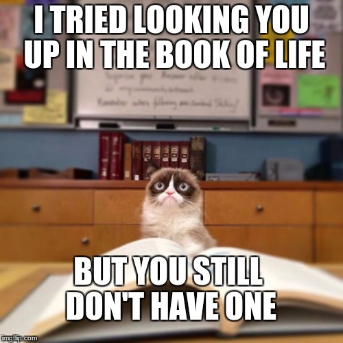 Grumpy Cat Reading | I TRIED LOOKING YOU UP IN THE BOOK OF LIFE; BUT YOU STILL DON'T HAVE ONE | image tagged in grumpy cat reading | made w/ Imgflip meme maker