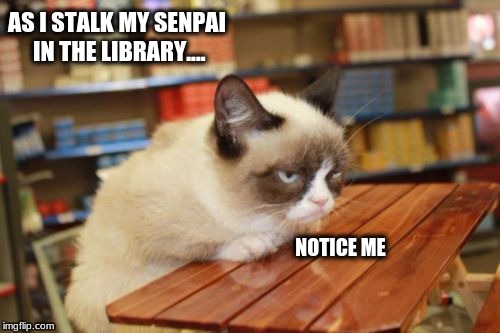 Grumpy Cat Table | AS I STALK MY SENPAI IN THE LIBRARY.... NOTICE ME | image tagged in memes,grumpy cat table,grumpy cat | made w/ Imgflip meme maker