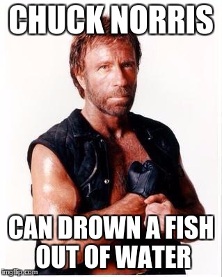 Chuck Norris Fish | CHUCK NORRIS; CAN DROWN A FISH OUT OF WATER | image tagged in memes,chuck norris flex,chuck norris,fish,funny | made w/ Imgflip meme maker