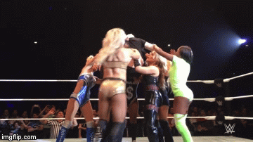 Have your Ellsworths spayed or neutered | image tagged in gifs,james,wwe | made w/ Imgflip video-to-gif maker