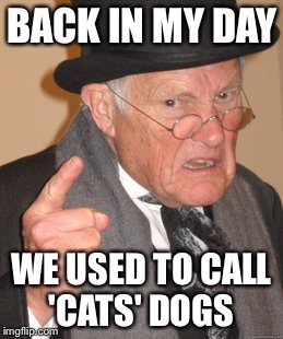 Back In My Day | BACK IN MY DAY; WE USED TO CALL 'CATS' DOGS | image tagged in memes,back in my day | made w/ Imgflip meme maker