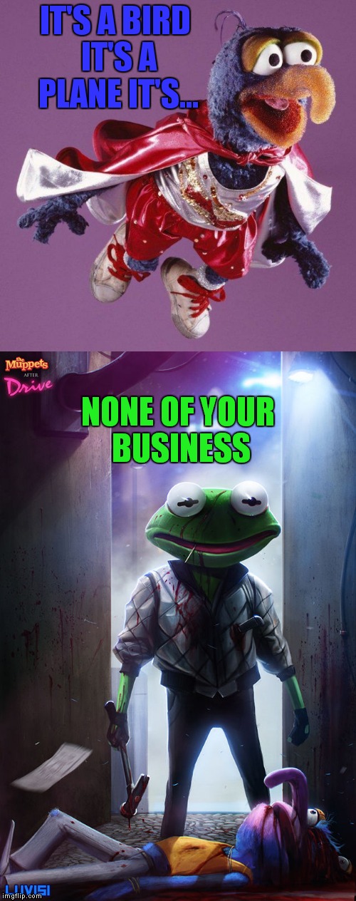 Superhero weak... |  IT'S A BIRD IT'S A PLANE IT'S... NONE OF YOUR BUSINESS | image tagged in superhero week,gonzo,kermit the frog | made w/ Imgflip meme maker