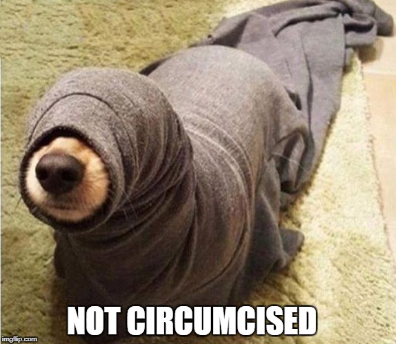 not circumcised  | NOT CIRCUMCISED | image tagged in not circumcised | made w/ Imgflip meme maker
