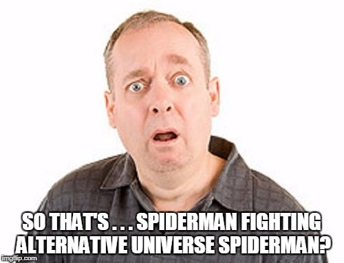 SO THAT'S . . . SPIDERMAN FIGHTING ALTERNATIVE UNIVERSE SPIDERMAN? | made w/ Imgflip meme maker