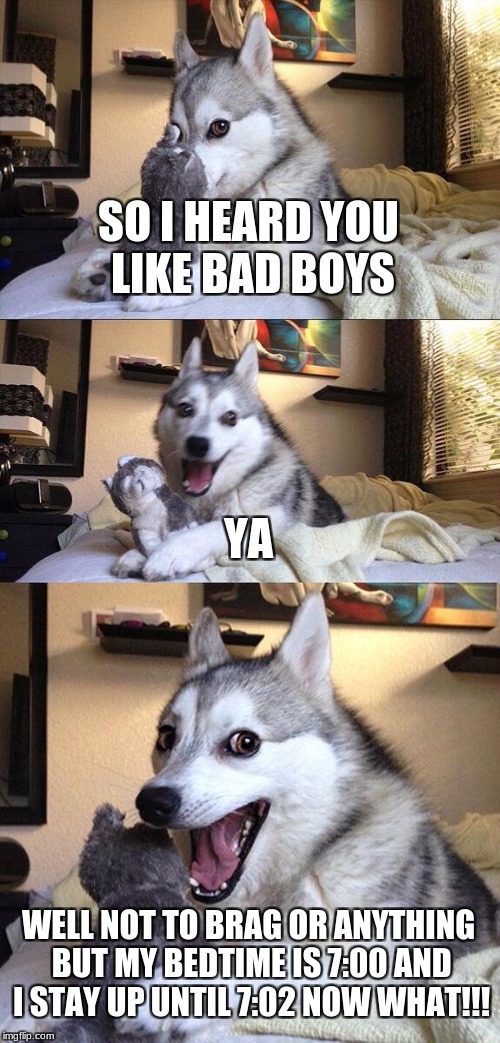 Bad Pun Dog Meme | SO I HEARD YOU LIKE BAD BOYS; YA; WELL NOT TO BRAG OR ANYTHING BUT MY BEDTIME IS 7:00 AND I STAY UP UNTIL 7:02 NOW WHAT!!! | image tagged in memes,bad pun dog | made w/ Imgflip meme maker