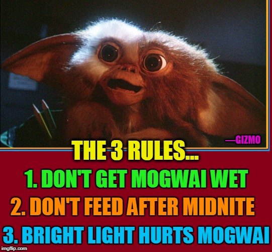 The 80s: The Deadly Decade | —GIZMO; THE 3 RULES... 1. DON'T GET MOGWAI WET; 2. DON'T FEED AFTER MIDNITE; 3. BRIGHT LIGHT HURTS MOGWAI | image tagged in vince vance,gremlins,gizmo,howie mandel voice of gizmo,zach galligan,phoebe cates | made w/ Imgflip meme maker