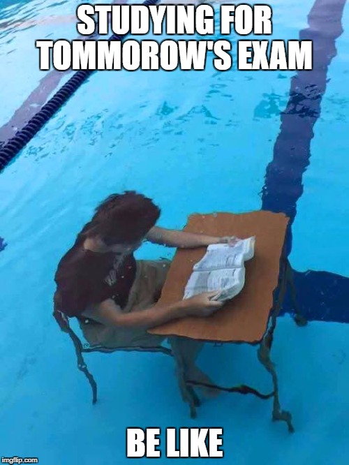 Pool studying | STUDYING FOR TOMMOROW'S EXAM; BE LIKE | image tagged in pool studying | made w/ Imgflip meme maker