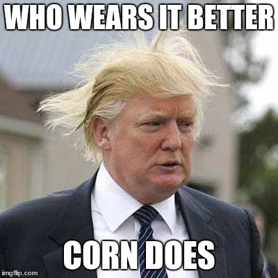 Donald Trump | WHO WEARS IT BETTER; CORN DOES | image tagged in donald trump | made w/ Imgflip meme maker