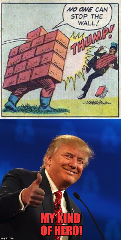 Superhero Week, a Pipe_Picasso and Madolite event, November 12-18 | MY KIND OF HERO! | image tagged in memes,funny,funny memes,dank,trump | made w/ Imgflip meme maker