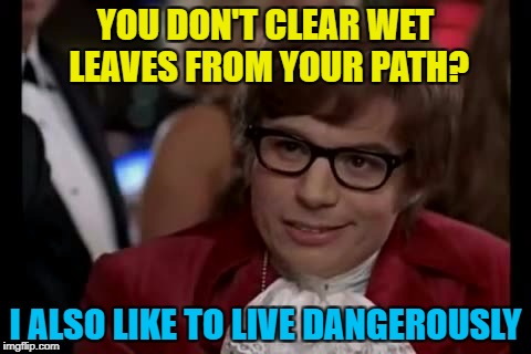Right until you end up lying on the path with them... :) | YOU DON'T CLEAR WET LEAVES FROM YOUR PATH? I ALSO LIKE TO LIVE DANGEROUSLY | image tagged in memes,i too like to live dangerously,autumn leaves,autumn,films,austin powers | made w/ Imgflip meme maker