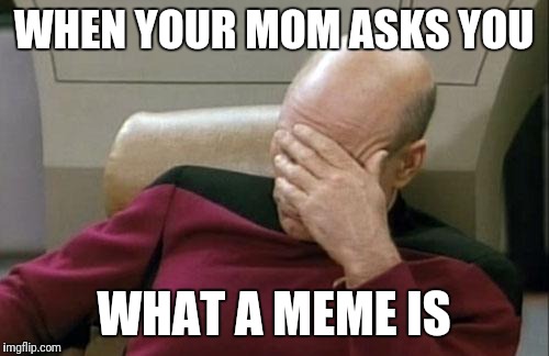 Captain Picard Facepalm | WHEN YOUR MOM ASKS YOU; WHAT A MEME IS | image tagged in memes,captain picard facepalm,mom questions,relatable | made w/ Imgflip meme maker