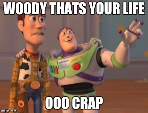 X, X Everywhere Meme | WOODY THATS YOUR LIFE; OOO CRAP | image tagged in memes,x x everywhere | made w/ Imgflip meme maker