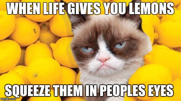 Grumpy Cat lemons | WHEN LIFE GIVES YOU LEMONS; SQUEEZE THEM IN PEOPLES
EYES | image tagged in grumpy cat lemons | made w/ Imgflip meme maker