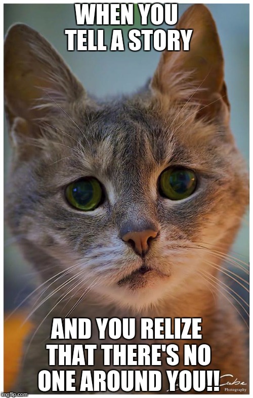sad cat | WHEN YOU TELL A STORY; AND YOU RELIZE THAT THERE'S NO ONE AROUND YOU!! | image tagged in sad cat | made w/ Imgflip meme maker