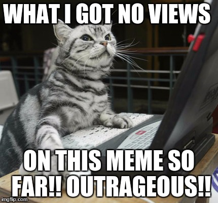 computer cat | WHAT I GOT NO VIEWS; ON THIS MEME SO FAR!!
OUTRAGEOUS!! | image tagged in computer cat | made w/ Imgflip meme maker