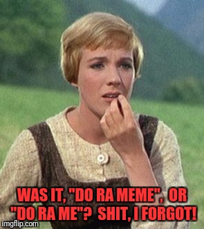 Julie Andrews confused | WAS IT, "DO RA MEME",  OR "DO RA ME"?  SHIT, I FORGOT! | image tagged in julie andrews confused | made w/ Imgflip meme maker