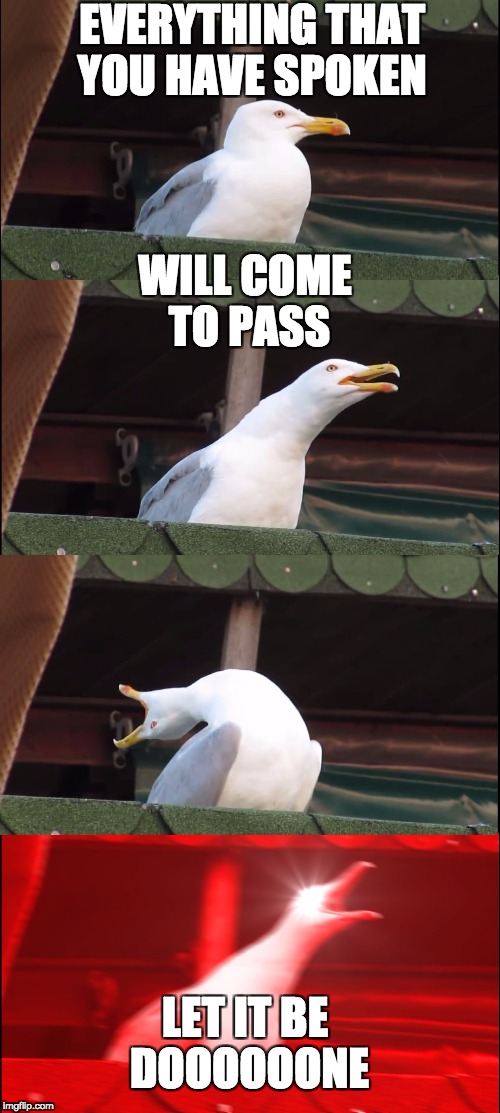 Inhaling Seagull Meme | EVERYTHING THAT YOU HAVE SPOKEN; WILL COME TO PASS; LET IT BE DOOOOOONE | image tagged in inhaling seagull | made w/ Imgflip meme maker