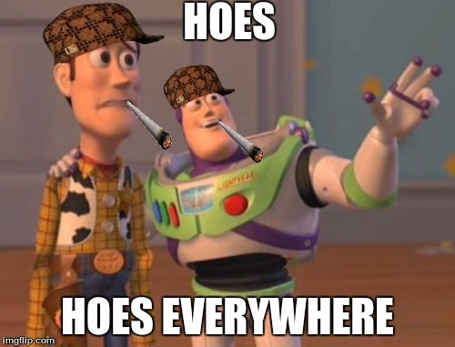 X, X Everywhere | HOES; HOES EVERYWHERE | image tagged in memes,x x everywhere,scumbag | made w/ Imgflip meme maker