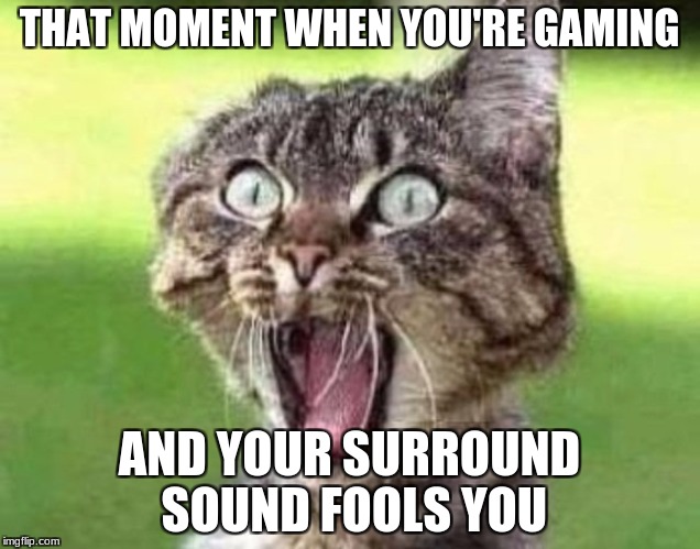 THAT MOMENT WHEN YOU'RE GAMING; AND YOUR SURROUND SOUND FOOLS YOU | image tagged in cat,gsming | made w/ Imgflip meme maker