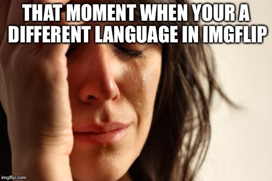 First World Problems | THAT MOMENT WHEN YOUR A DIFFERENT LANGUAGE IN IMGFLIP | image tagged in memes,first world problems | made w/ Imgflip meme maker