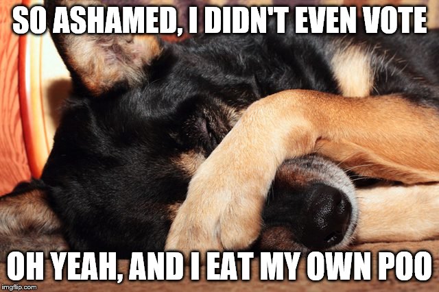 SO ASHAMED, I DIDN'T EVEN VOTE OH YEAH, AND I EAT MY OWN POO | made w/ Imgflip meme maker