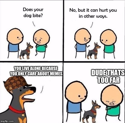 does your dog bite | YOU LIVE ALONE BECAUSE YOU ONLY CARE ABOUT MEMES; DUDE THATS TOO FAR | image tagged in does your dog bite,scumbag | made w/ Imgflip meme maker