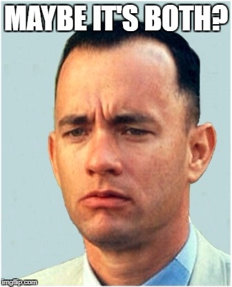 forrest gump | MAYBE IT'S BOTH? | image tagged in forrest gump | made w/ Imgflip meme maker