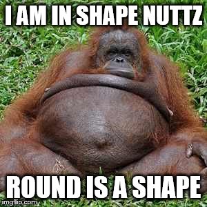 Fat Monkey | I AM IN SHAPE NUTTZ; ROUND IS A SHAPE | image tagged in fat monkey | made w/ Imgflip meme maker
