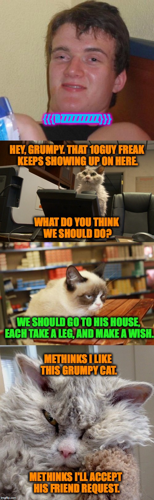 Albert and Grumpy come up with a solution | {{{BZZZZZZZZZ}}}; HEY, GRUMPY. THAT 10GUY FREAK KEEPS SHOWING UP ON HERE. WHAT DO YOU THINK WE SHOULD DO? WE SHOULD GO TO HIS HOUSE, EACH TAKE A LEG, AND MAKE A WISH. METHINKS I LIKE THIS GRUMPY CAT. METHINKS I'LL ACCEPT HIS FRIEND REQUEST. | image tagged in albert and grumpy vs 10guy | made w/ Imgflip meme maker
