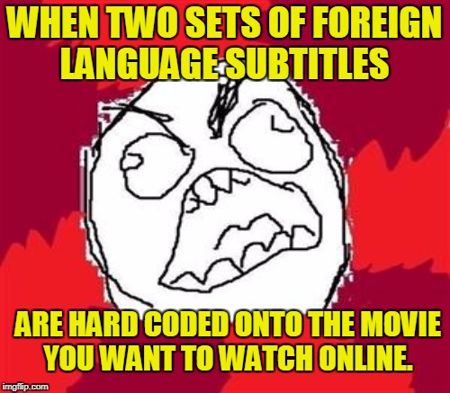 WHEN TWO SETS OF FOREIGN LANGUAGE SUBTITLES ARE HARD CODED ONTO THE MOVIE YOU WANT TO WATCH ONLINE. | made w/ Imgflip meme maker