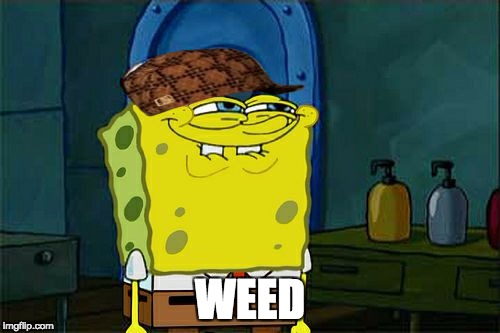 Don't You Squidward | WEED | image tagged in memes,dont you squidward,scumbag | made w/ Imgflip meme maker