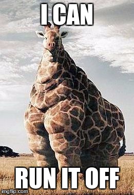 Fat Giraffe | I CAN; RUN IT OFF | image tagged in fat giraffe | made w/ Imgflip meme maker