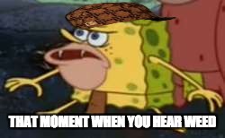 Spongegar | THAT MOMENT WHEN YOU HEAR WEED | image tagged in memes,spongegar,scumbag | made w/ Imgflip meme maker