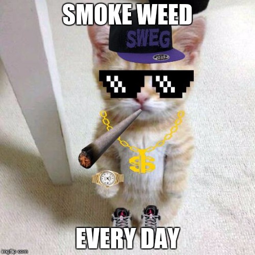 SMOKE WEED; EVERY DAY | image tagged in sweg cat | made w/ Imgflip meme maker