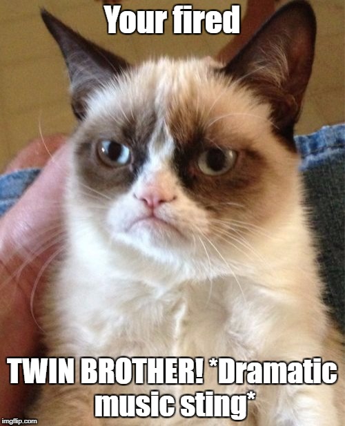 Grumpy Cat Meme | Your fired TWIN BROTHER! *Dramatic music sting* | image tagged in memes,grumpy cat | made w/ Imgflip meme maker