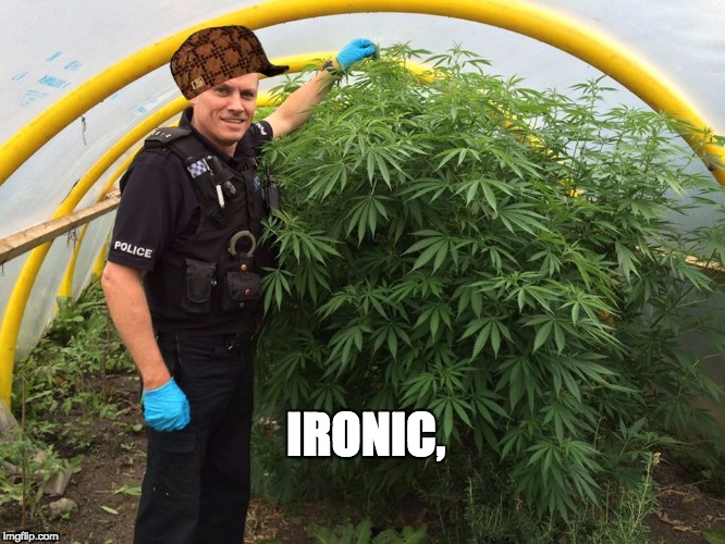 WEEED | IRONIC, | image tagged in police weed cannabis stoned,scumbag | made w/ Imgflip meme maker