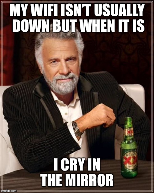 The Most Interesting Man In The World Meme | MY WIFI ISN’T USUALLY DOWN BUT WHEN IT IS I CRY IN THE MIRROR | image tagged in memes,the most interesting man in the world | made w/ Imgflip meme maker