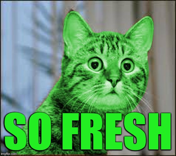 RayCat WTF | SO FRESH | image tagged in raycat wtf | made w/ Imgflip meme maker