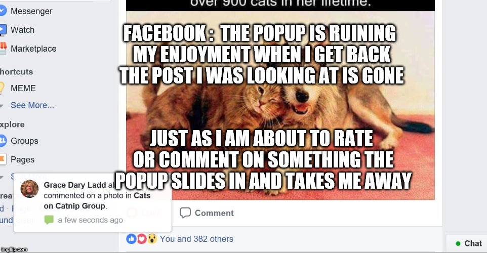 FACEBOOK INTERFACE FOULUP | FACEBOOK :  THE POPUP IS RUINING MY ENJOYMENT WHEN I GET BACK THE POST I WAS LOOKING AT IS GONE; JUST AS I AM ABOUT TO RATE OR COMMENT ON SOMETHING THE POPUP SLIDES IN AND TAKES ME AWAY | image tagged in facebook | made w/ Imgflip meme maker