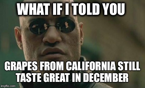 Matrix Morpheus | WHAT IF I TOLD YOU; GRAPES FROM CALIFORNIA STILL TASTE GREAT IN DECEMBER | image tagged in memes,matrix morpheus | made w/ Imgflip meme maker